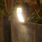🔥HOT SALE🔥Home Outdoor Garden Solar Charging Induction Light