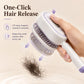 💁‍♀️Electric Spray Air Cushion Massage Comb💨| Self-Cleaning Anti-Tangle ✨ | Perfect for Dry, Brittle Hair 💧