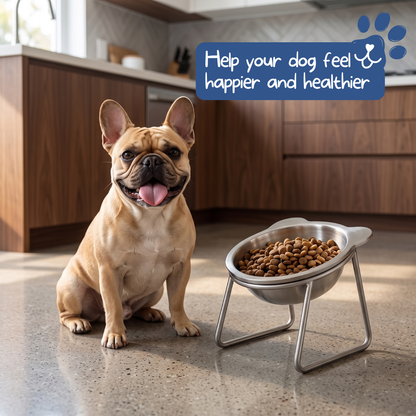 ⏳Time-Limited Special 🥣15° Tilted Orthopaedic Feeding Bowl