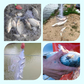 🔥2025 Hot Sale🔥Fishing Gill Net with Spring Bait Trap