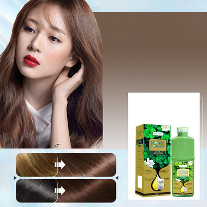 🏆 Last Day Special Price 16.99! 💇‍♀️Long‑Lasting Plant‑Based Foam Hair Dye｜Ammonia‑Free Easy DIY At‑Home Foam Hair Color