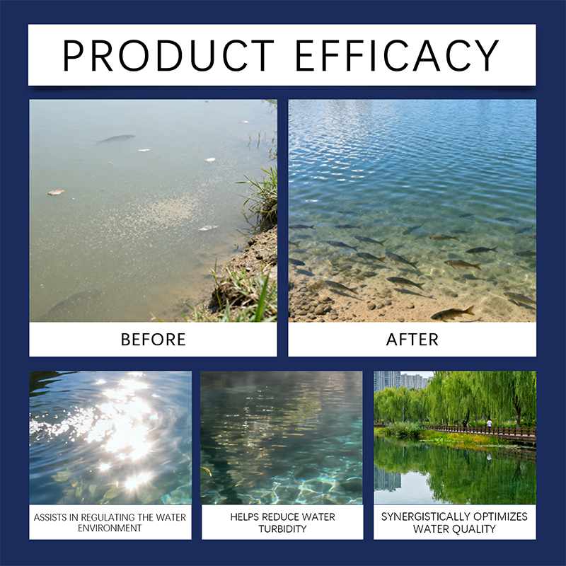 🐟🦐Aqua‑Guardian Pro Water Clarifier – Clears cloudy water instantly. Safe for fish & shrimp. Chemical‑free. 100g. 🌊✨