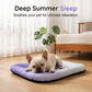 🥳2026 HOT SALE🥳50K+ SOLD!🐶❄️ 50% OFF! Cooling Gel Mat for Pets – No refrigeration needed, instant heat relief. Breathable, non‑toxic. Helps pets sleep cool all summer! 🌿✨