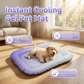 🥳2026 HOT SALE🥳50K+ SOLD!🐶❄️ 50% OFF! Cooling Gel Mat for Pets – No refrigeration needed, instant heat relief. Breathable, non‑toxic. Helps pets sleep cool all summer! 🌿✨