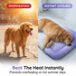 🥳2026 HOT SALE🥳50K+ SOLD!🐶❄️ 50% OFF! Cooling Gel Mat for Pets – No refrigeration needed, instant heat relief. Breathable, non‑toxic. Helps pets sleep cool all summer! 🌿✨