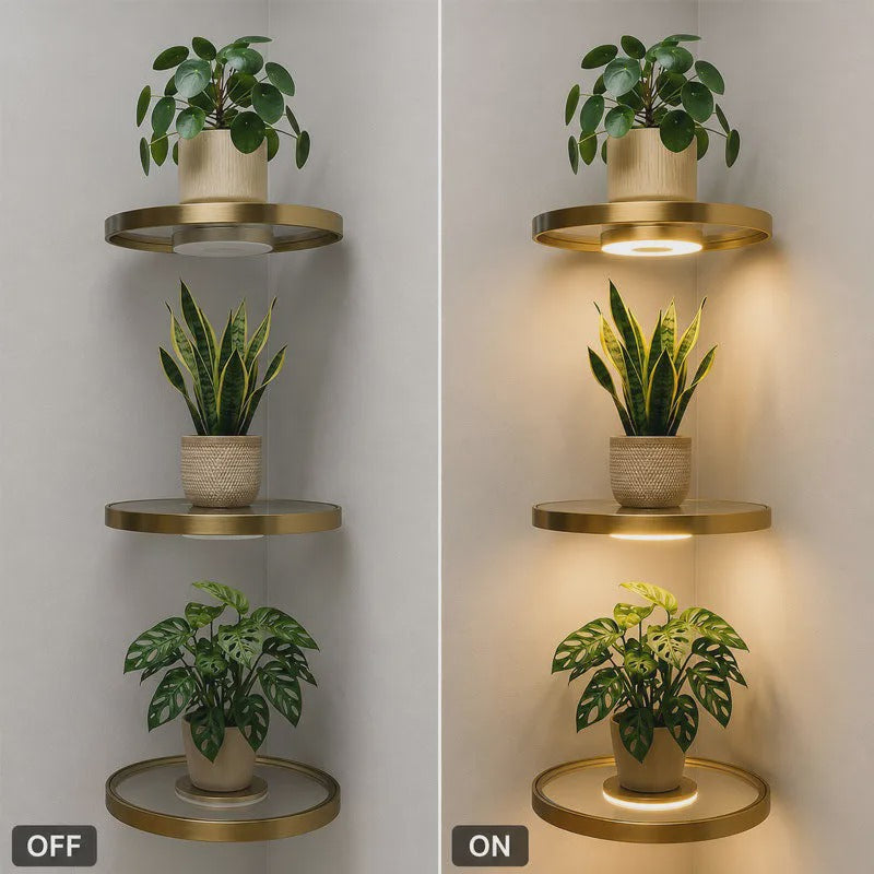 💡LAST DAY SALE 50% OFF⚡50K+ SOLD🪴Floating Wall Shelf with Built-in Ambient LED Light