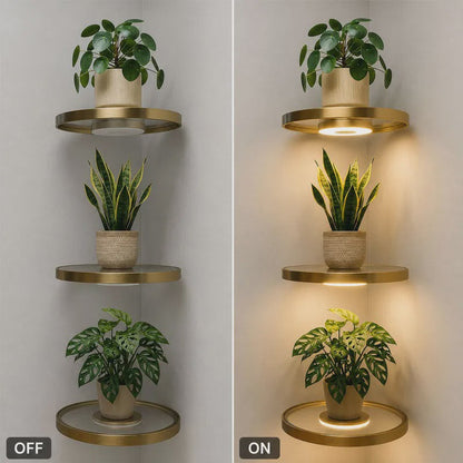 💡LAST DAY SALE 50% OFF⚡50K+ SOLD🪴Floating Wall Shelf with Built-in Ambient LED Light