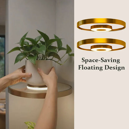 💡LAST DAY SALE 50% OFF⚡50K+ SOLD🪴Floating Wall Shelf with Built-in Ambient LED Light
