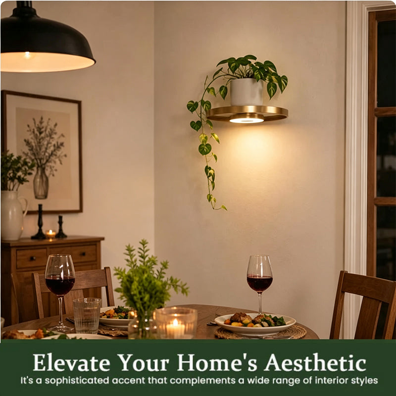 💡LAST DAY SALE 50% OFF⚡50K+ SOLD🪴Floating Wall Shelf with Built-in Ambient LED Light